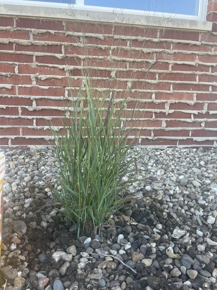 Trusted yard cleanup service in West Peoria, IL - Buckley’s Mowing Service