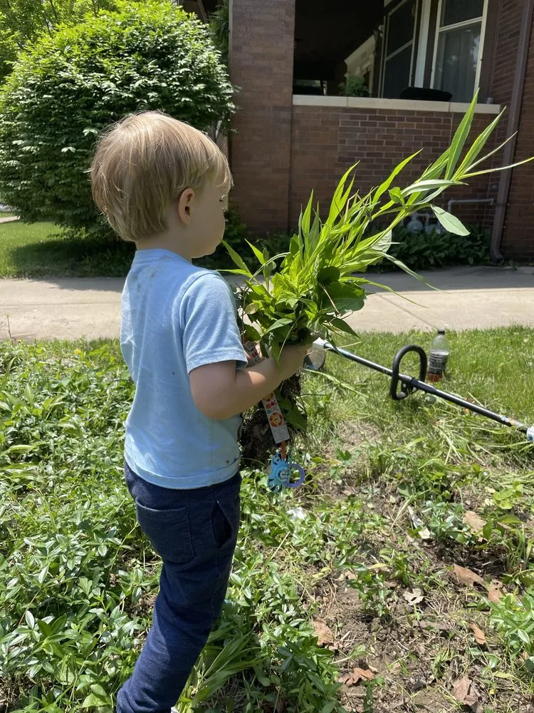 Expert lawn mowing service in West Peoria, IL by Buckley’s Mowing Service