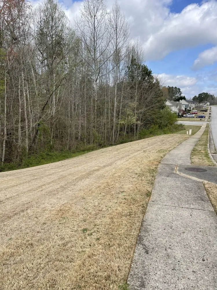 Trusted landscape installation in Temple, GA - Buckner Lawn Care