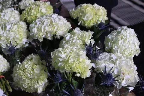 Local garden landscaping with custom design across Kintnersville, PA - Bucks County Nursery