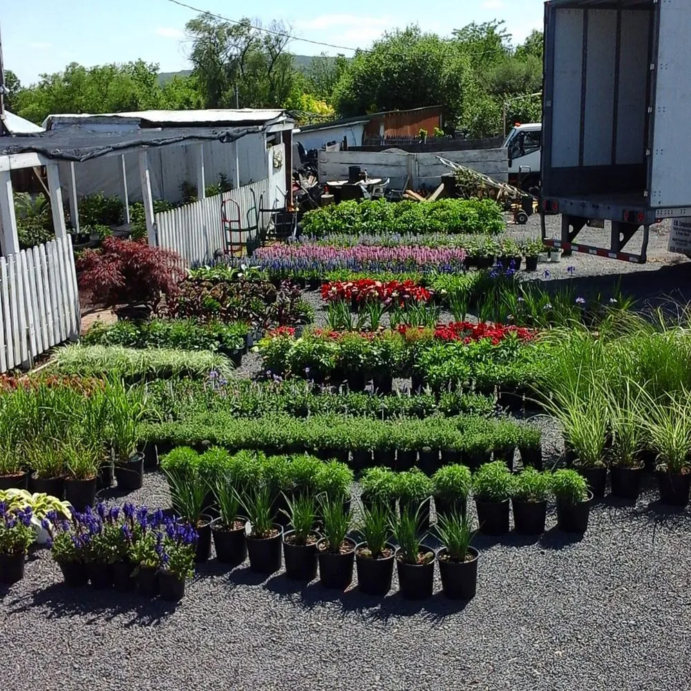 Local landscape installation in Kintnersville, PA - Bucks County Nursery