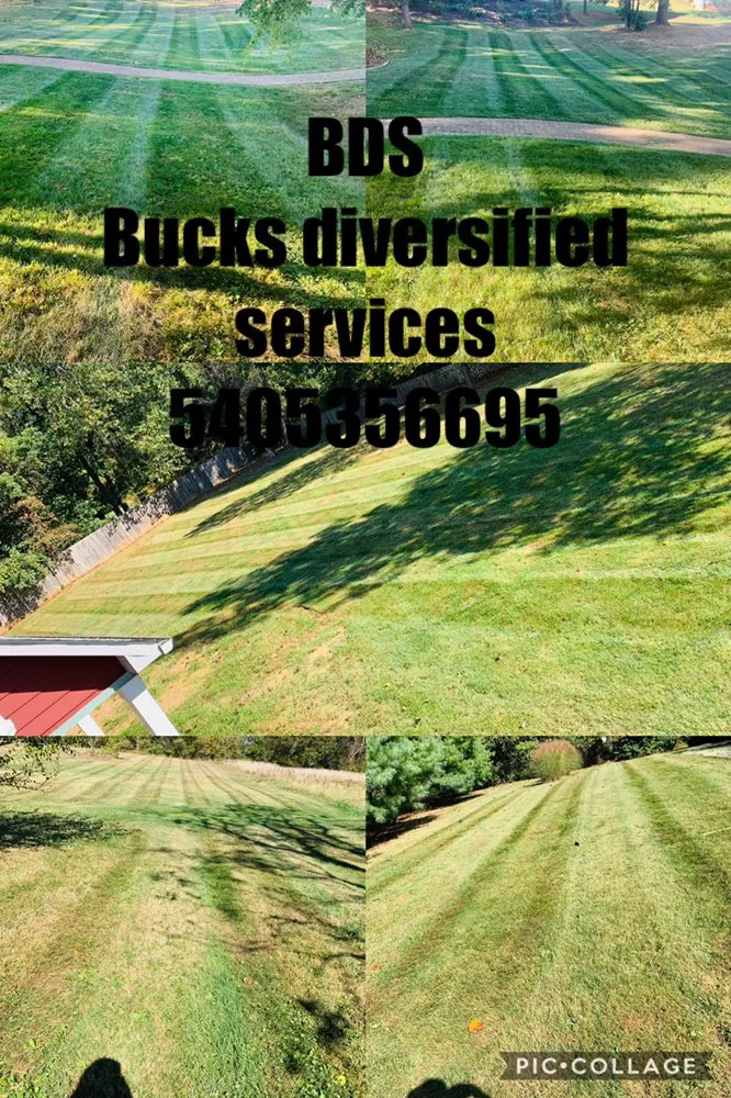 Custom landscape installation for outdoor upgrades across Stephens City, VA - Buck's Diversified Services
