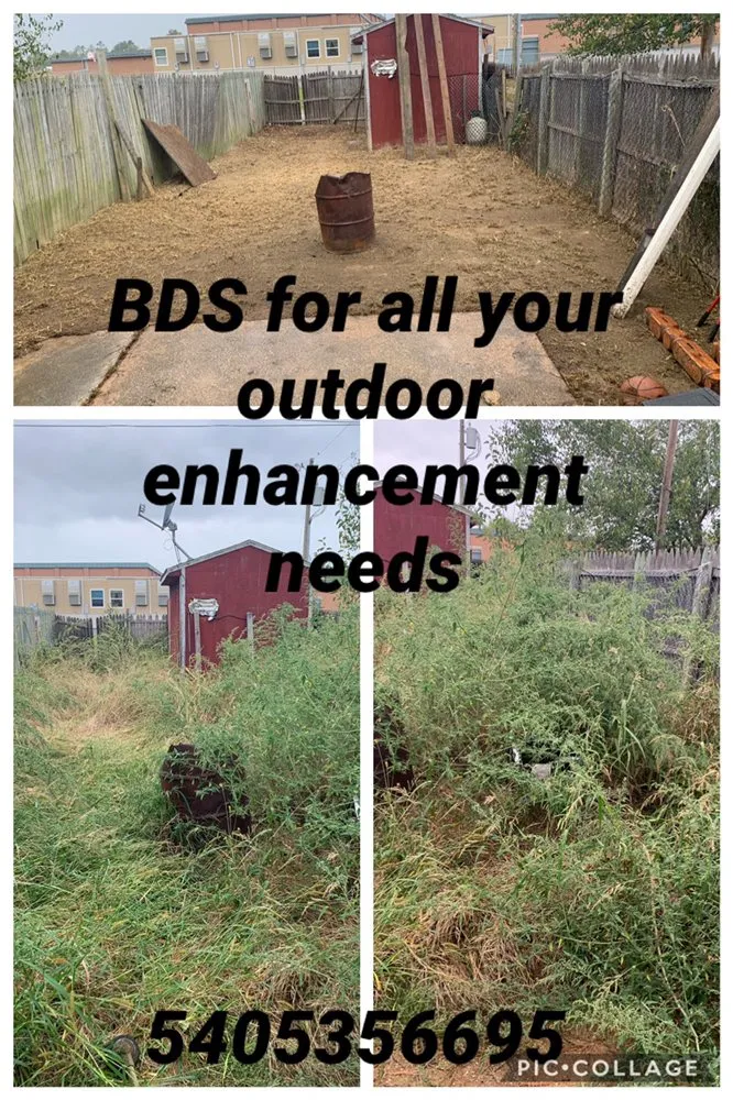 Top-rated yard maintenance for outdoor upgrades in Stephens City, VA by Buck's Diversified Services