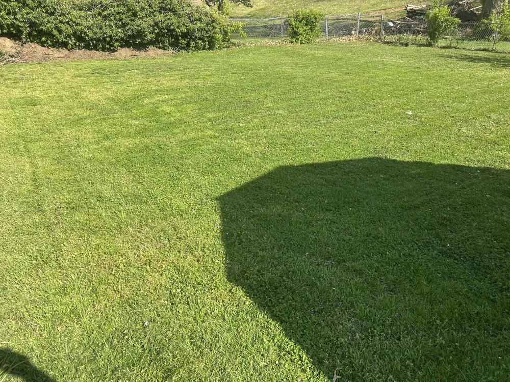 Professional lawn mowing service in Elizabethton, TN - Bucks Mowing Service