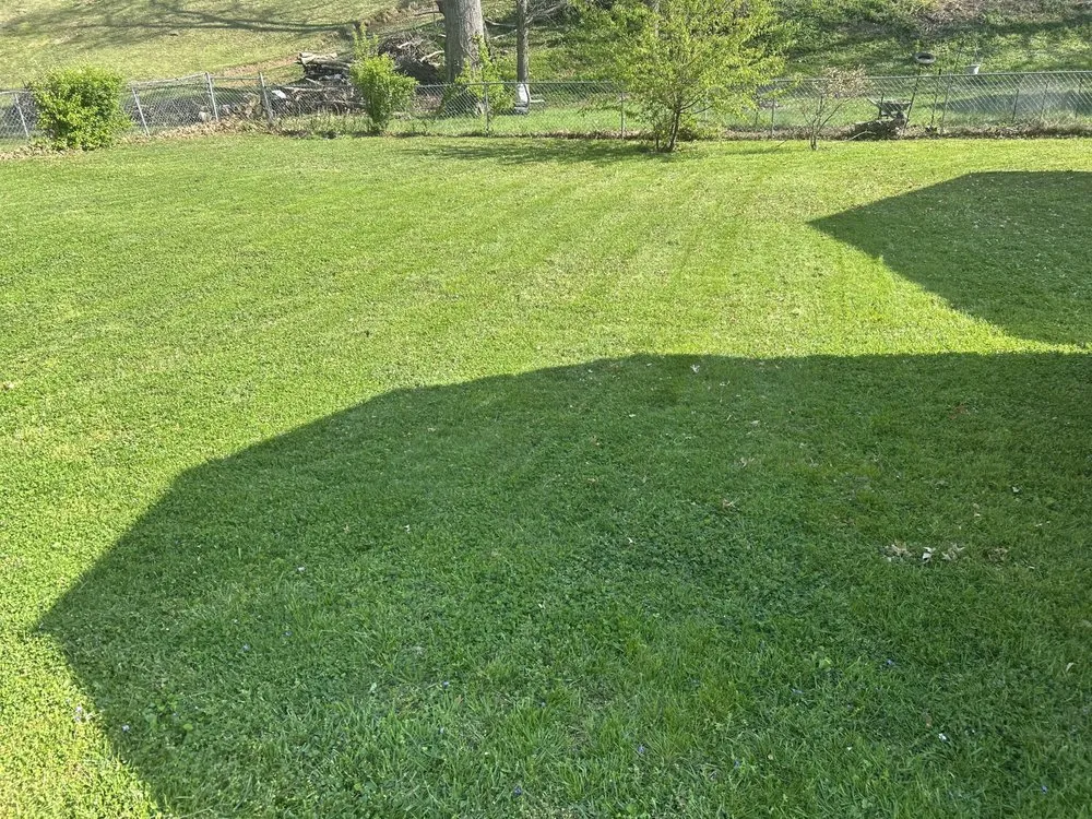 Expert yard cleanup service for outdoor upgrades in Elizabethton, TN by Bucks Mowing Service