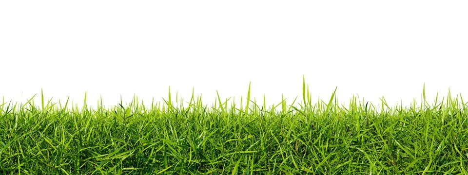 Local lawn care service for residential properties across Elizabethton, TN - Bucks Mowing Service