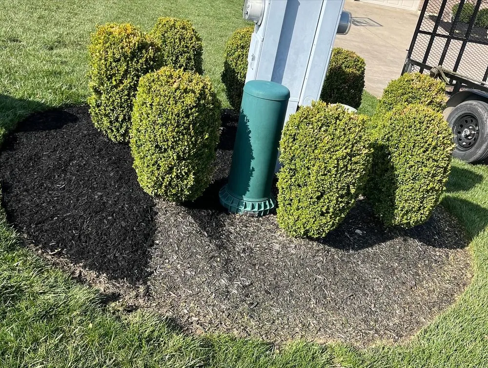 Top-rated landscaping services in Lawrenceburg, IN by Bucks Property Solutions