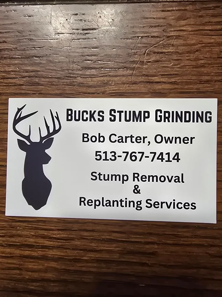 Professional landscape design in Lebanon, OH by Buck's Stump Grinding
