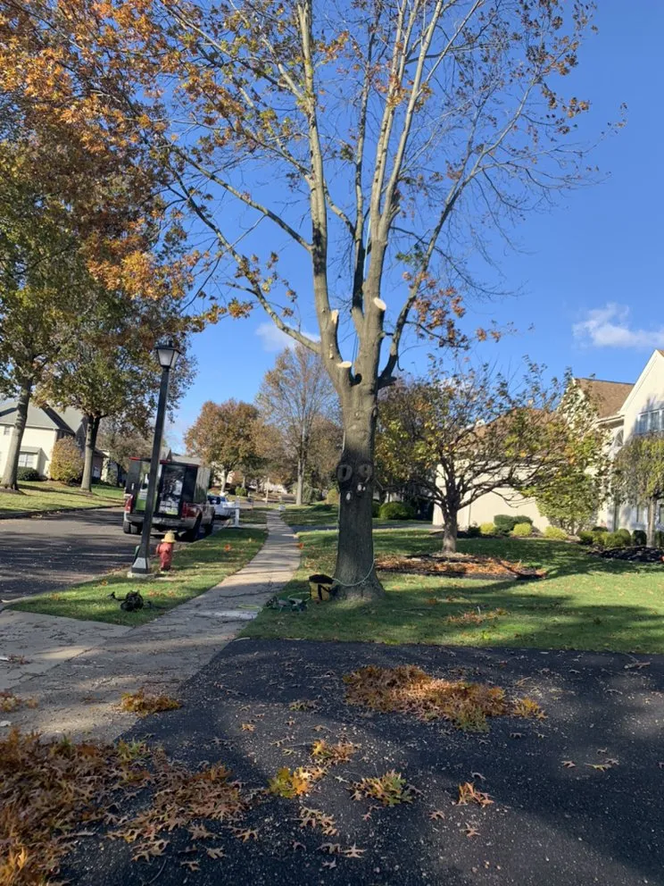 Reliable outdoor landscaping experts serving Horsham, PA - Bucks Tree Care & Landscaping