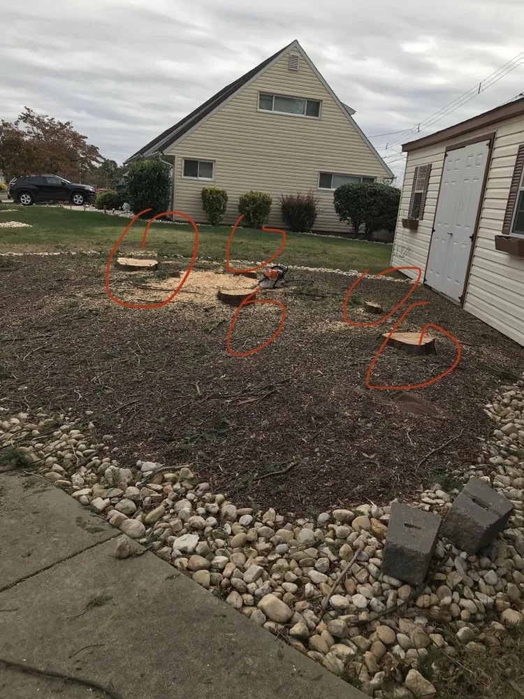 Local yard cleanup service in Horsham, PA by Bucks Tree Care & Landscaping