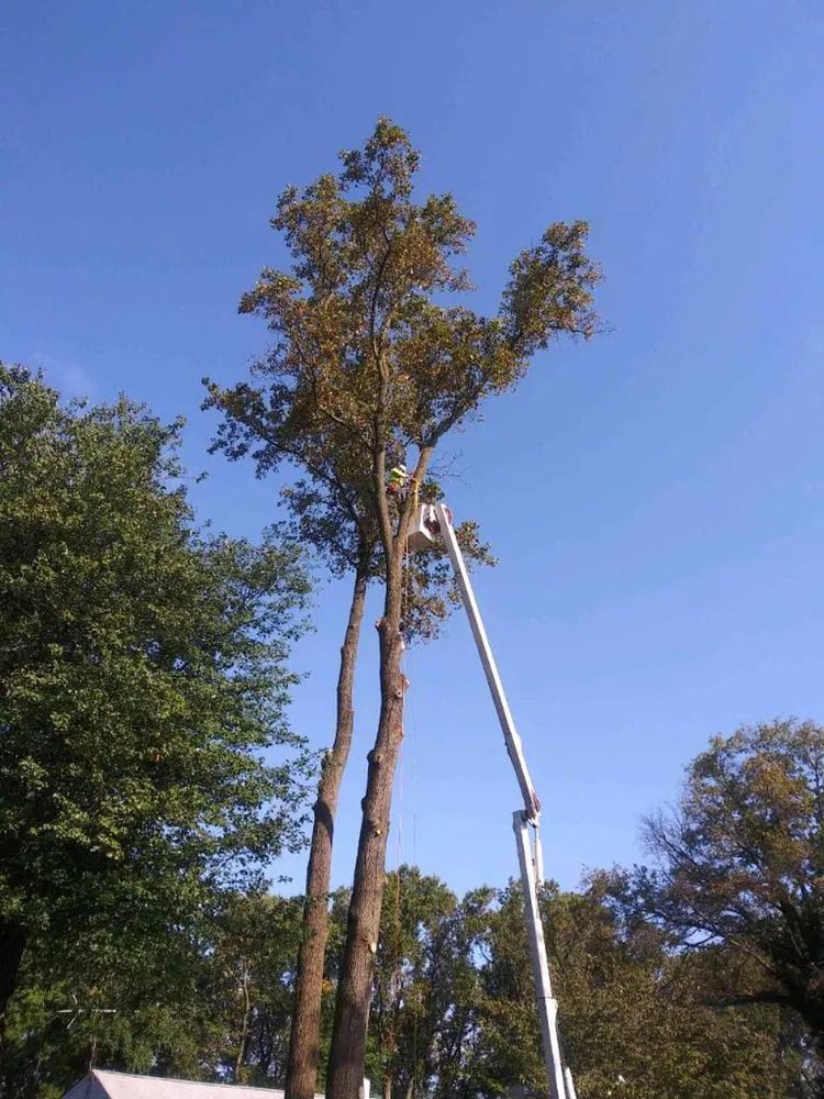 Affordable lawn mowing service experts serving Horsham, PA - Bucks Tree Care & Landscaping