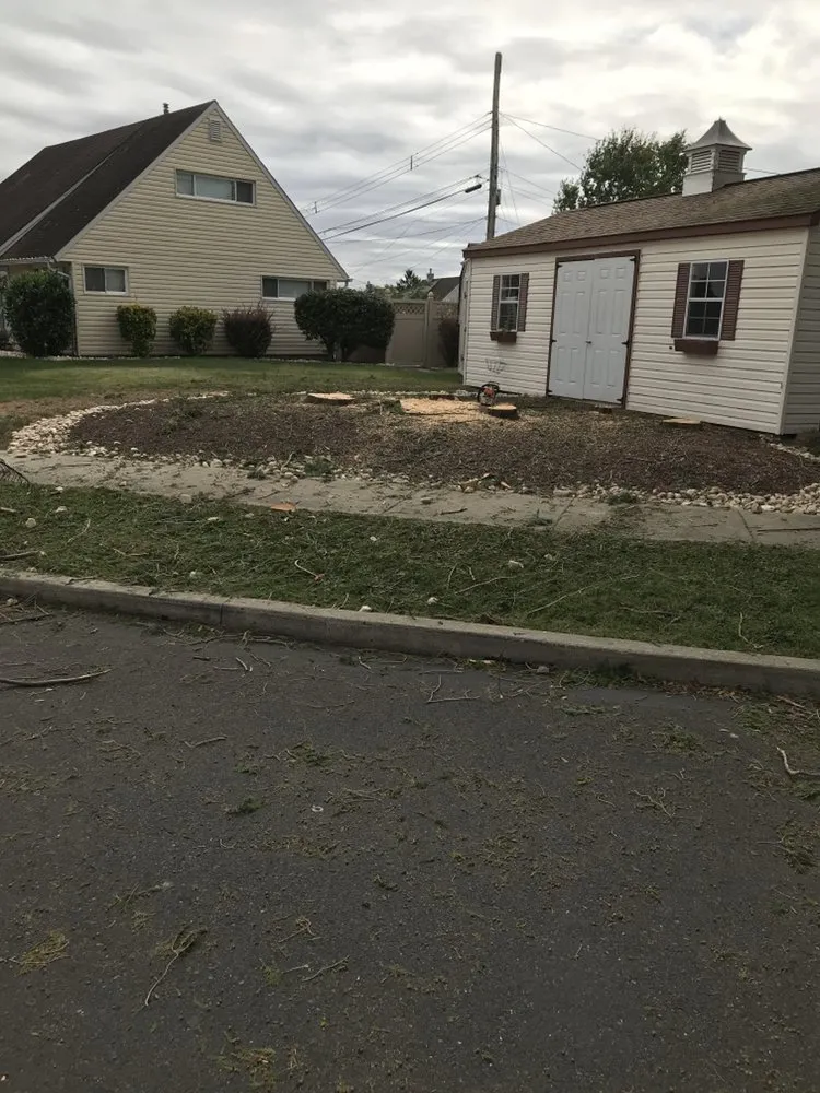 Custom landscape installation for year-round maintenance in Horsham, PA by Bucks Tree Care & Landscaping