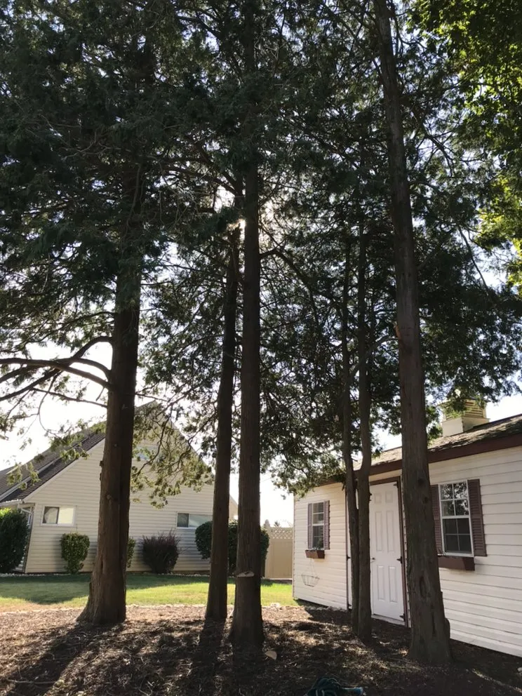 Affordable residential landscaping for residential properties in Horsham, PA by Bucks Tree Care & Landscaping