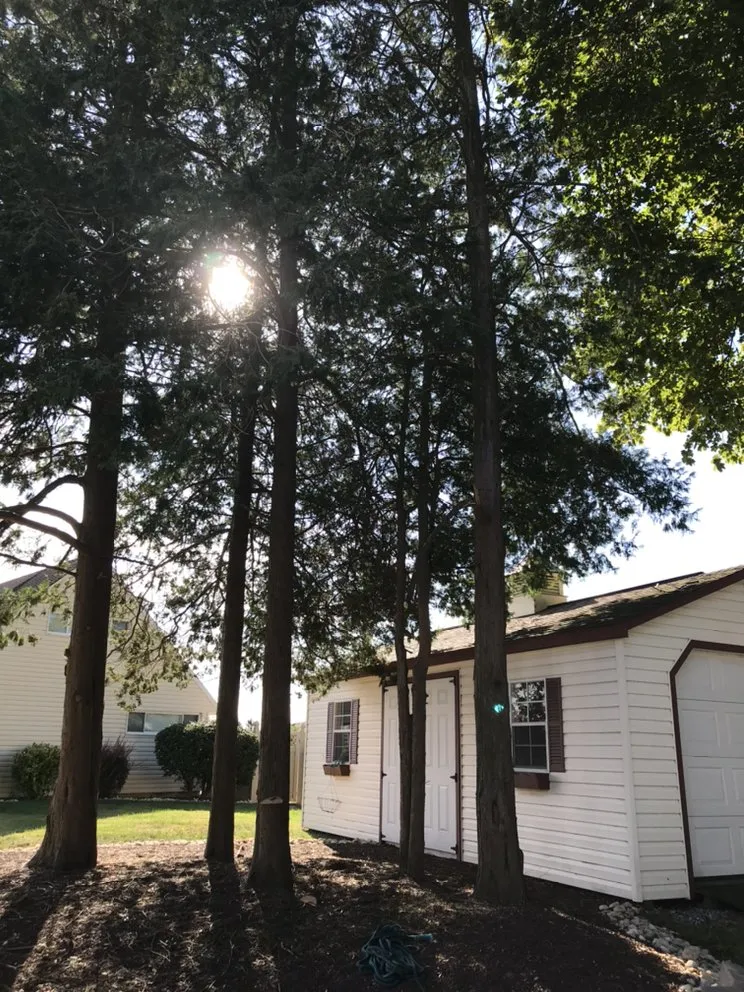 Affordable yard cleanup service in Horsham, PA by Bucks Tree Care & Landscaping