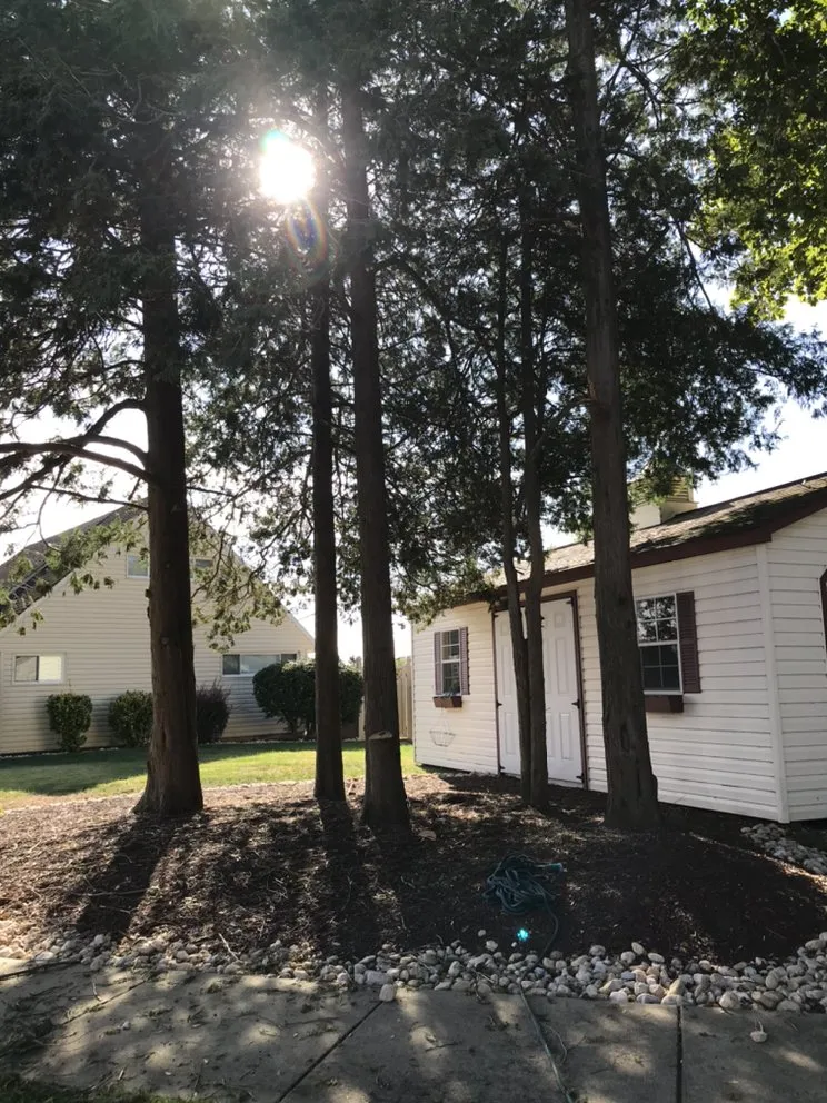 Expert garden landscaping in Horsham, PA - Bucks Tree Care & Landscaping