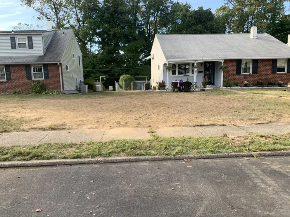 Professional yard maintenance experts serving Horsham, PA - Bucks Tree Care & Landscaping