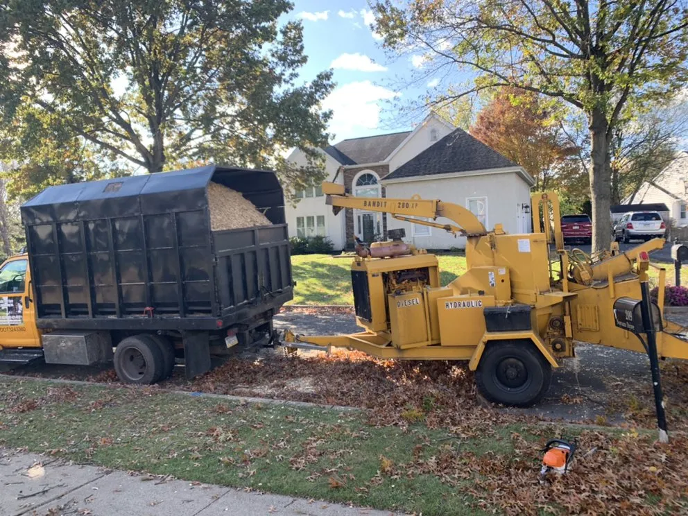 Reliable lawn care service experts serving Horsham, PA - Bucks Tree Care & Landscaping