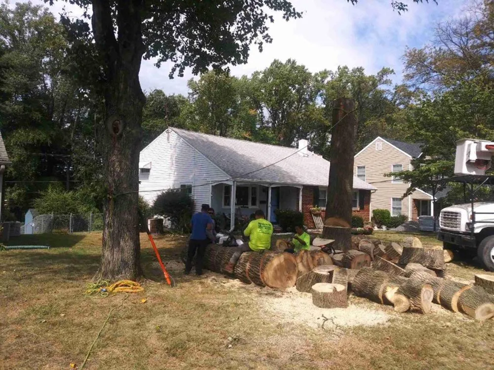 Local lawn care service in Horsham, PA - Bucks Tree Care & Landscaping