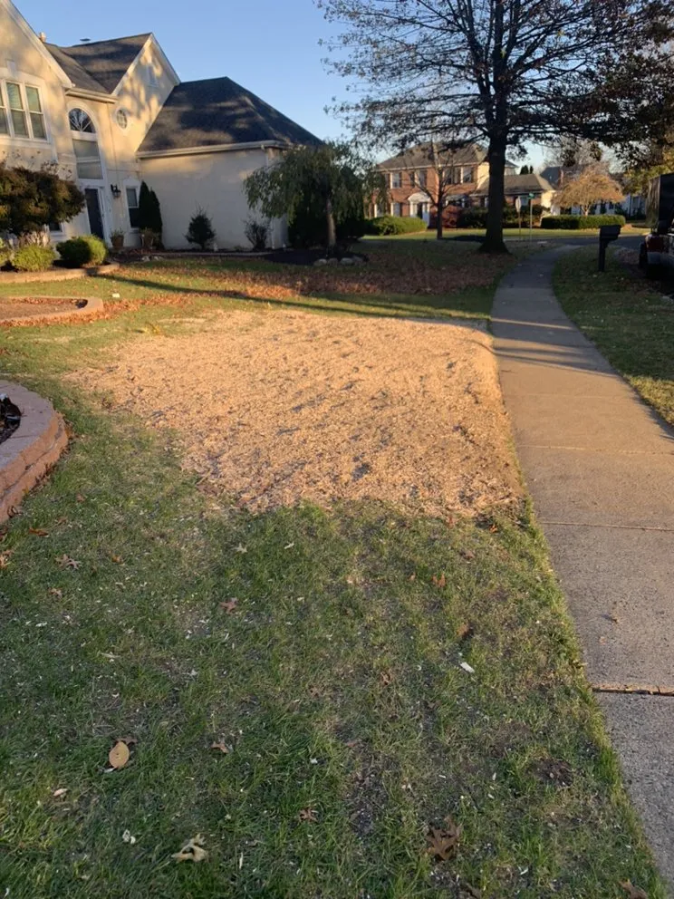 Professional lawn care service for homes in Horsham, PA by Bucks Tree Care & Landscaping