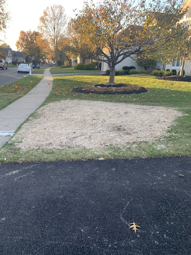 Custom landscape design experts serving Horsham, PA - Bucks Tree Care & Landscaping