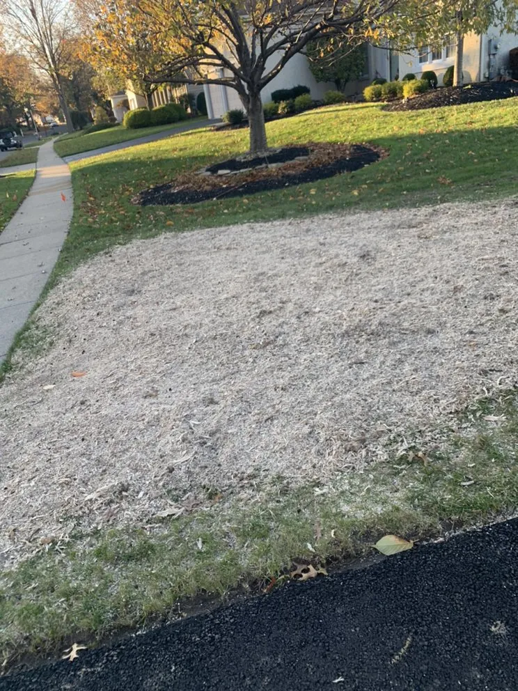 Reliable lawn mowing service in Horsham, PA - Bucks Tree Care & Landscaping