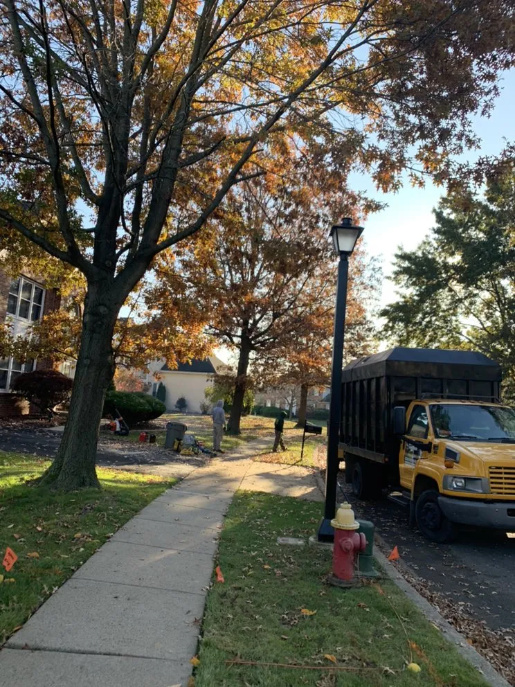 Expert landscaping services in Horsham, PA by Bucks Tree Care & Landscaping