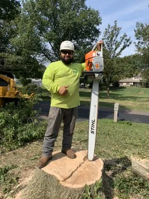 Bucks Tree Care & Landscaping