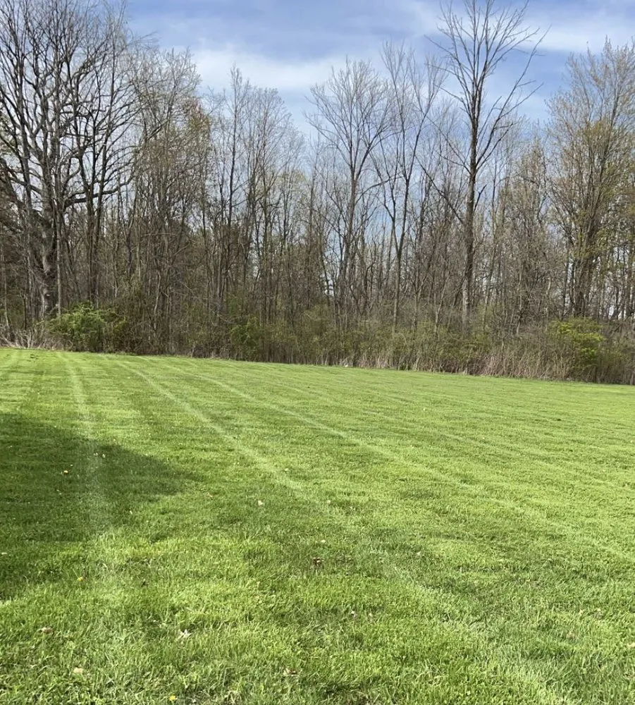 Reliable garden landscaping for year-round maintenance across Valley City, OH - Buckscapes