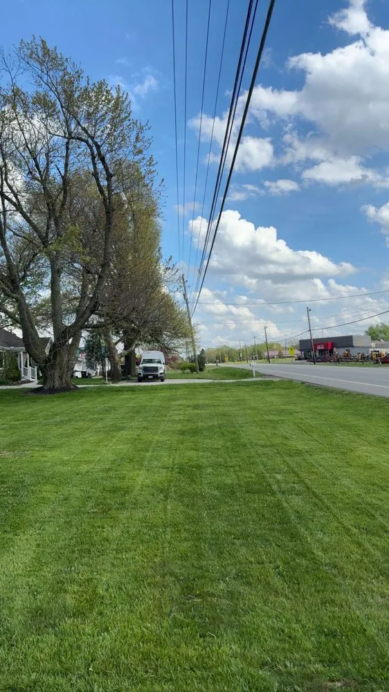 Expert landscape design experts serving Valley City, OH - Buckscapes