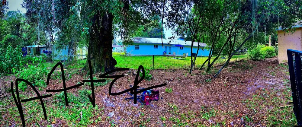 Trusted lawn mowing service for homes across Gainesville, FL - BuckShot Lawn Pros & Pressure Washing