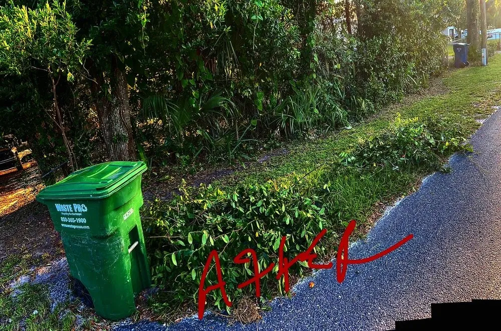 Professional outdoor landscaping experts serving Gainesville, FL - BuckShot Lawn Pros & Pressure Washing