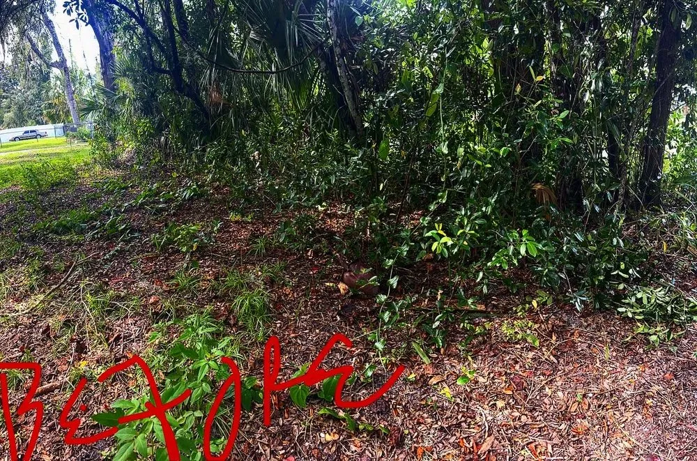 Top-rated landscape design experts serving Gainesville, FL - BuckShot Lawn Pros & Pressure Washing