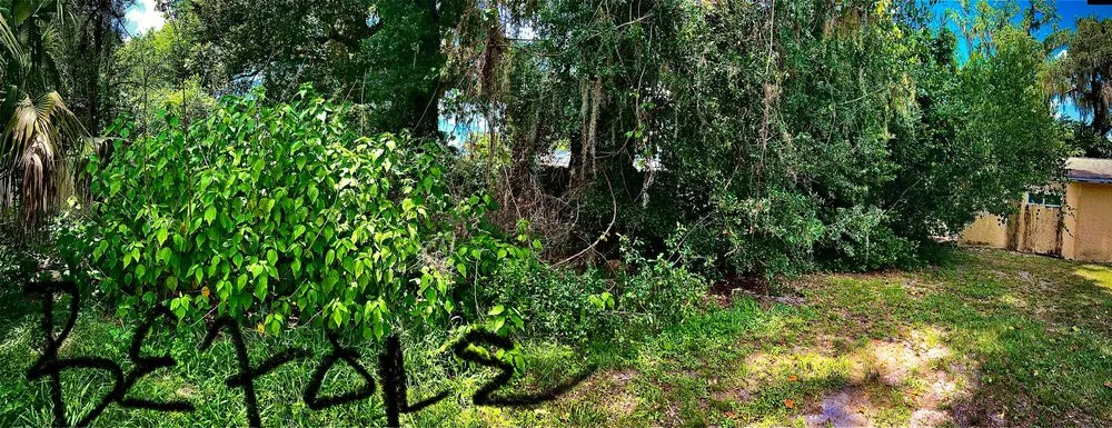 Custom residential landscaping for residential properties in Gainesville, FL by BuckShot Lawn Pros & Pressure Washing