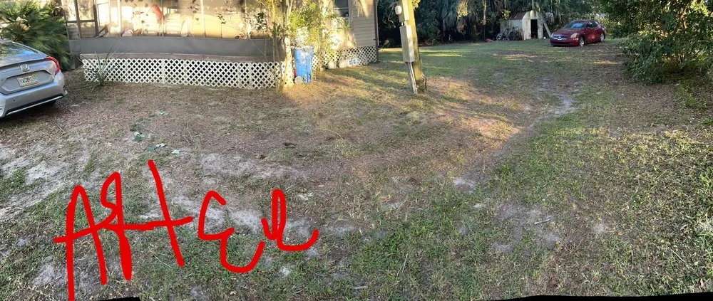 Affordable landscaping services for year-round maintenance across Gainesville, FL - BuckShot Lawn Pros & Pressure Washing