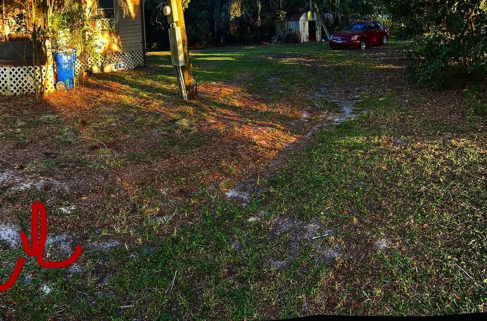 Custom landscaping services for beautiful yards across Gainesville, FL - BuckShot Lawn Pros & Pressure Washing