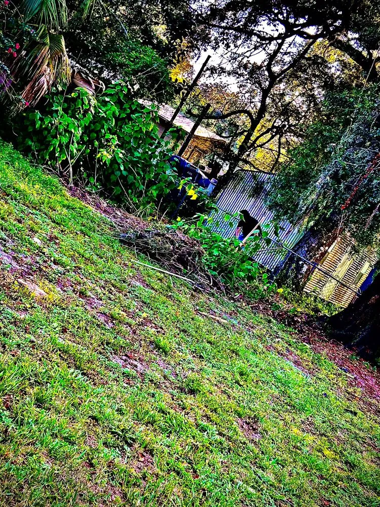 Top-rated outdoor landscaping in Gainesville, FL - BuckShot Lawn Pros & Pressure Washing