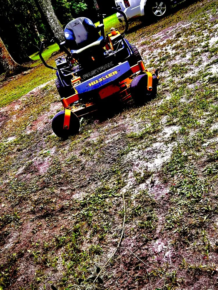 Professional yard maintenance experts serving Gainesville, FL - BuckShot Lawn Pros & Pressure Washing