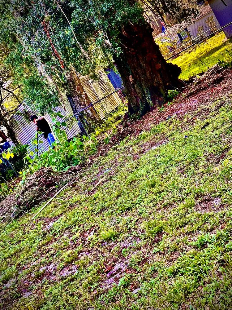 Custom outdoor landscaping for homes across Gainesville, FL - BuckShot Lawn Pros & Pressure Washing