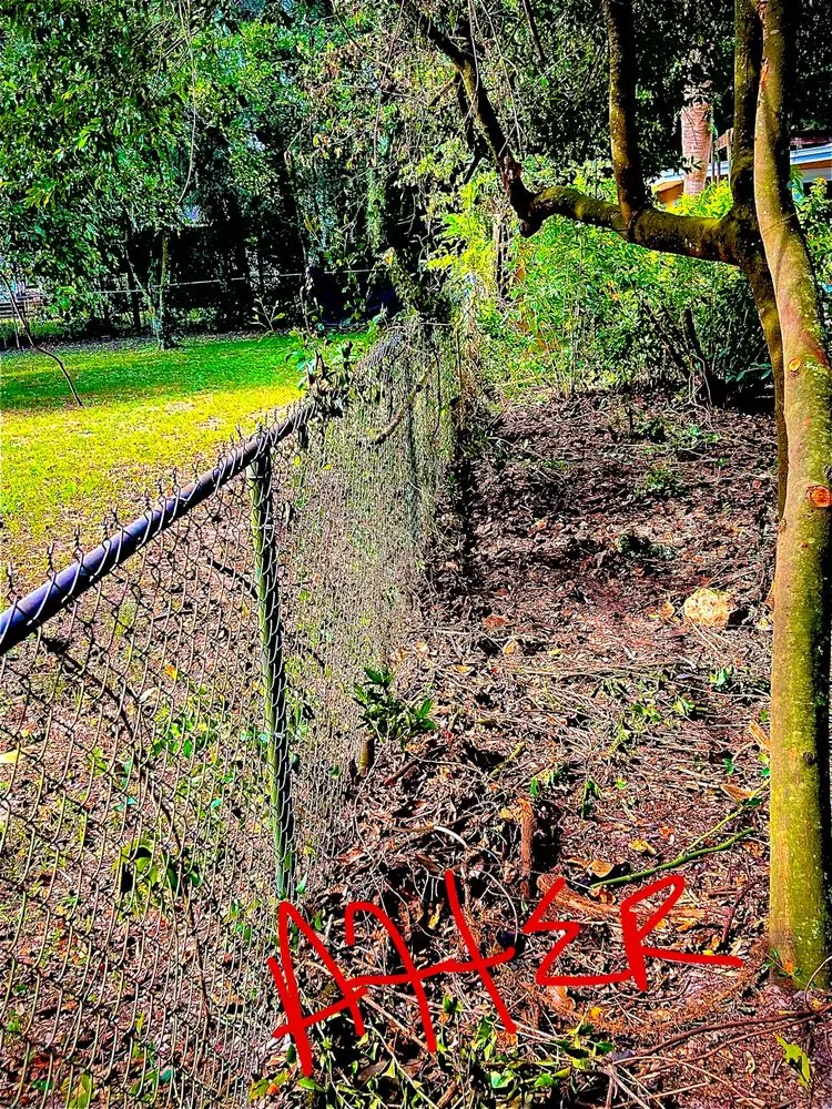 Reliable residential landscaping experts serving Gainesville, FL - BuckShot Lawn Pros & Pressure Washing