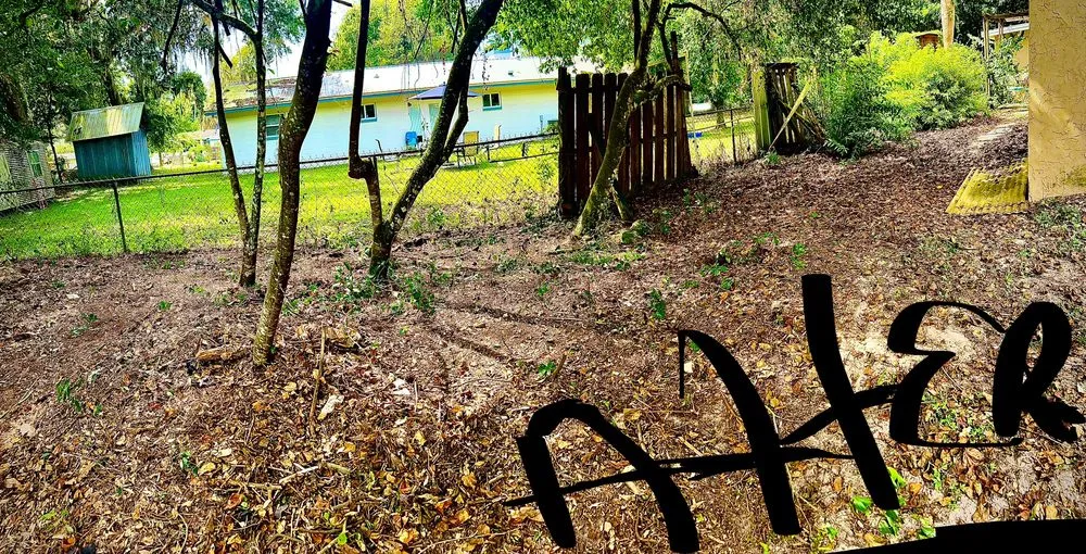 Trusted landscaping services in Gainesville, FL by BuckShot Lawn Pros & Pressure Washing