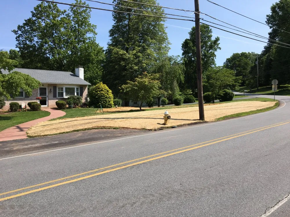 Top-rated landscape installation for homes across Birdsboro, PA - Buckwalter Landscape Services