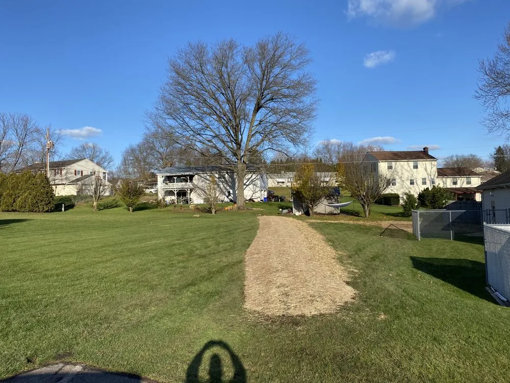 Affordable yard cleanup service in Birdsboro, PA - Buckwalter Landscape Services