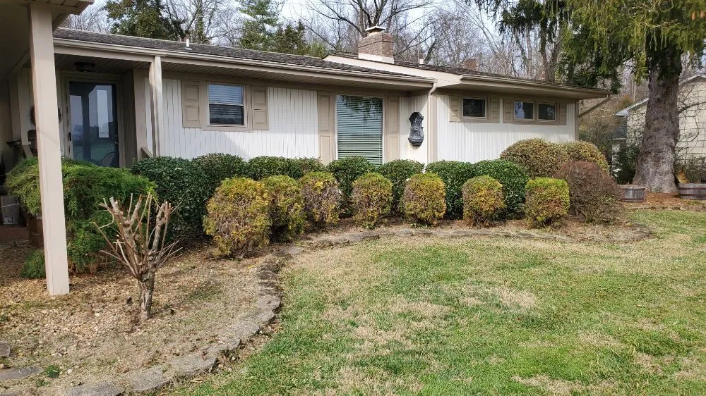 Trusted landscape installation for year-round maintenance in Greeneville, TN by Bucky's Lawncare landscape & Maintenance