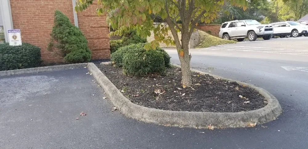 Reliable landscape design experts serving Greeneville, TN - Bucky's Lawncare landscape & Maintenance