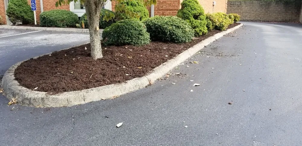 Local residential landscaping in Greeneville, TN - Bucky's Lawncare landscape & Maintenance