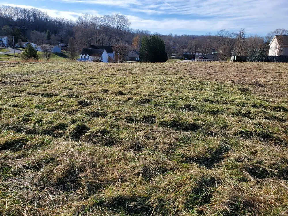 Professional yard cleanup service in Greeneville, TN - Bucky's Lawncare landscape & Maintenance