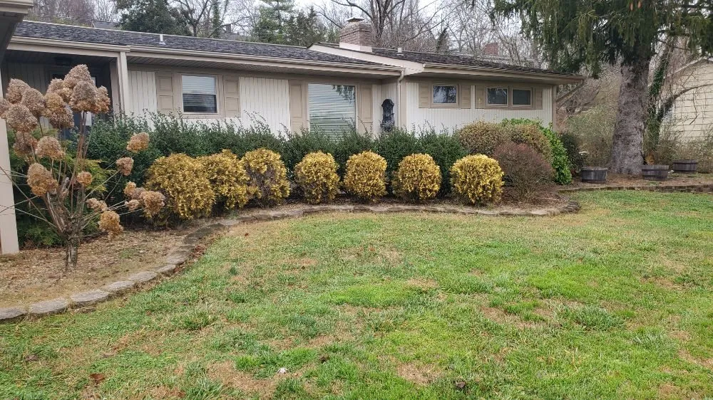 Trusted residential landscaping for year-round maintenance in Greeneville, TN by Bucky's Lawncare landscape & Maintenance