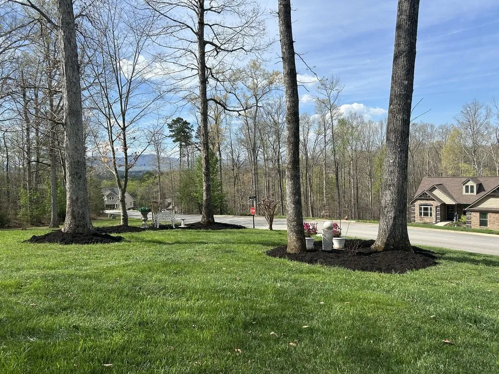 Local yard cleanup service near you in Greeneville, TN by Bucky's Lawncare landscape & Maintenance