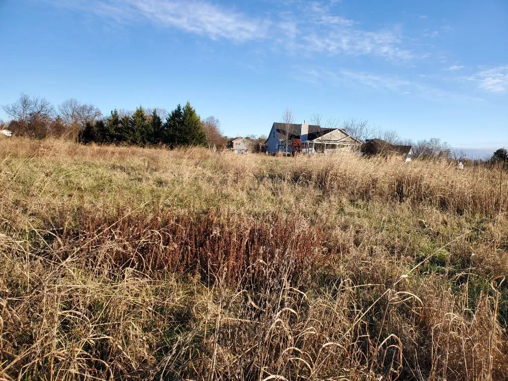 Reliable landscape installation in Greeneville, TN by Bucky's Lawncare landscape & Maintenance