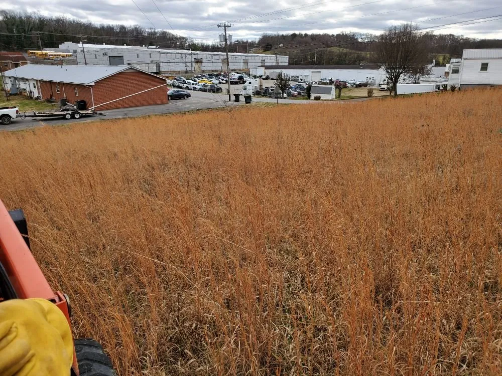 Top-rated landscape installation in Greeneville, TN by Bucky's Lawncare landscape & Maintenance